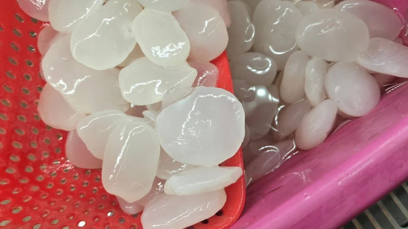 Thành phần dinh dưỡng cơ bản trong hạt đác