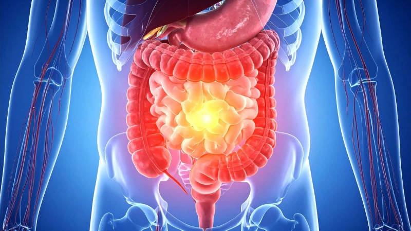 Hạt gai dầu giúp hỗ trợ giảm táo bón và nuôi dưỡng lợi khuẩn đường ruột.