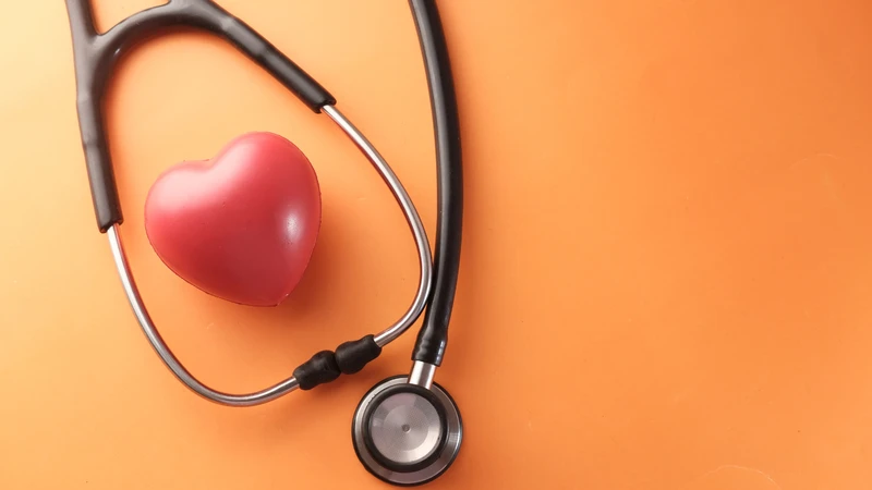 Hạt sầu riêng cung cấp chất béo có lợi hỗ trợ sức khỏe tim mạch
