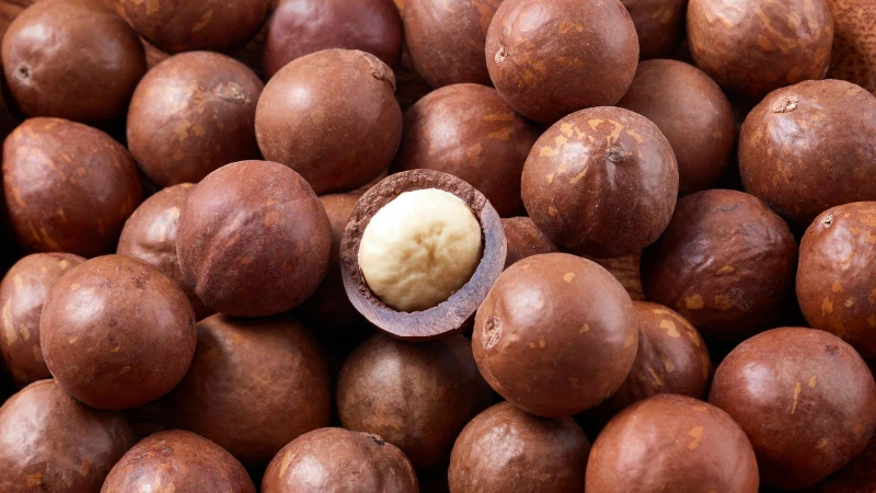 Mắc ca là một trong những hạt tốt cho thận nhờ chứa nhiều chất béo không bão hòa