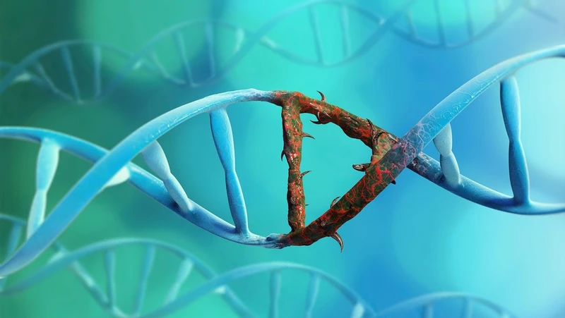 Virus, yếu tố di truyền và tuổi tác đều có thể làm tăng nguy cơ xuất hiện đột biến gen