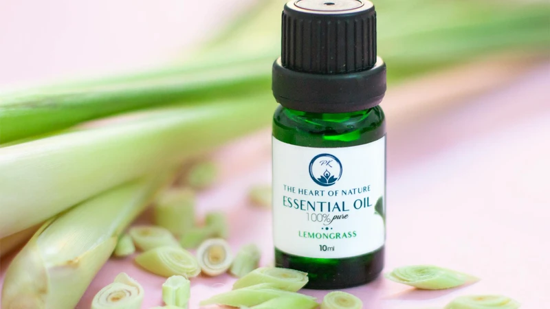 Tinh dầu sả là giải pháp hỗ trợ xua muỗi tự nhiên, an toàn, hiệu quả
