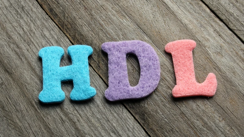HDL cholesterol giúp vận chuyển chất béo dư thừa về gan
