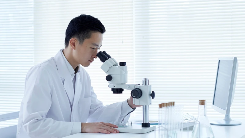 Việc nhận diện hình ảnh nấm Candida soi tươi dưới kính hiển vi là một kỹ thuật chẩn đoán quan trọng