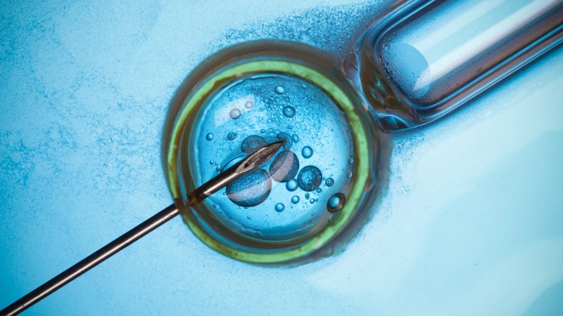 Xét nghiệm di truyền tiền làm tổ có thể là một lựa chọn đối với một số gia đình thực hiện thụ tinh trong ống nghiệm