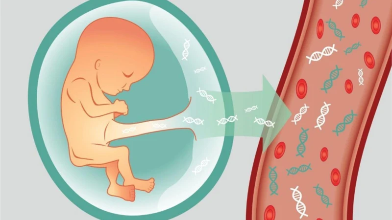 Hội chứng Patau: Nguyên nhân, dấu hiệu nhận biết và những điều thai phụ cần lưu ý 1