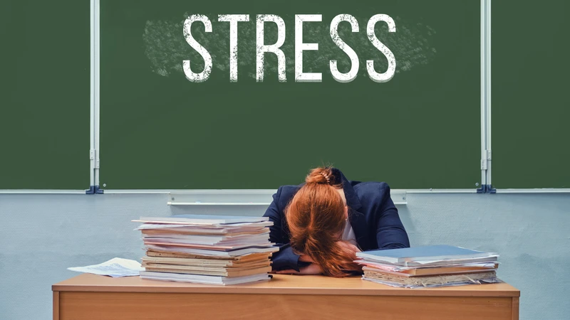 Giảm stress kéo dài, duy trì hoạt động thư giãn giúp kiểm soát cơn thèm ăn và cân bằng cơ thể