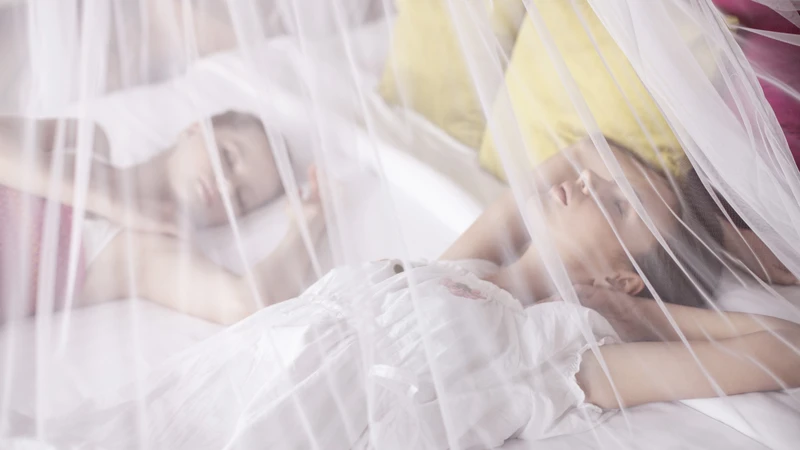 Ngủ màn cả ban ngày là biện pháp đơn giản nhưng hiệu quả để phòng ngừa nhiễm virus Zika
