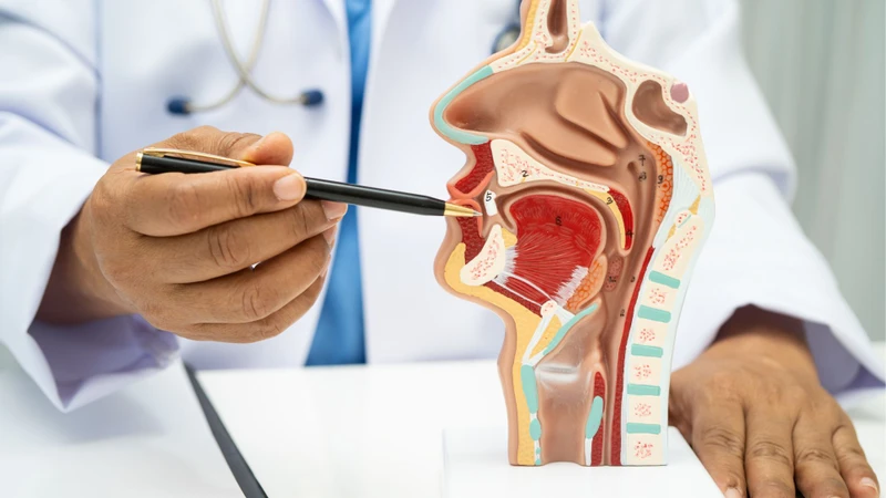 Dịch và khí từ dạ dày có thể đi ngược lên thực quản và gây mùi khó chịu