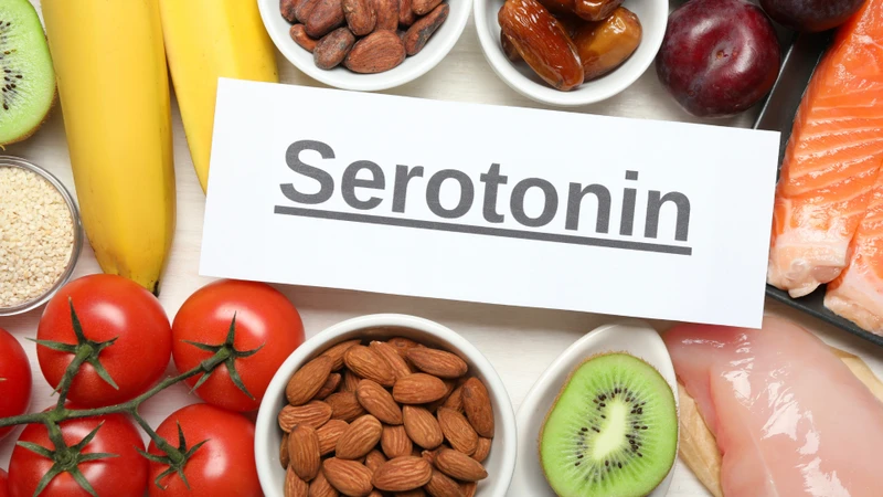 Hormone serotonin không chỉ hiện diện ở não bộ, mà còn được tìm thấy trong tiểu cầu máu và hệ tiêu hóa
