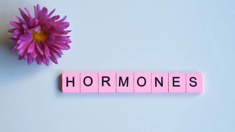 Hormone sinh dục là nhóm nội tiết tố quan trọng do buồng trứng và tinh hoàn sản xuất
