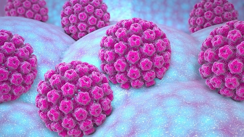 Virus HPV 45 là một trong 14 type virus HPV thuộc nhóm&nbsp;nguy cơ cao