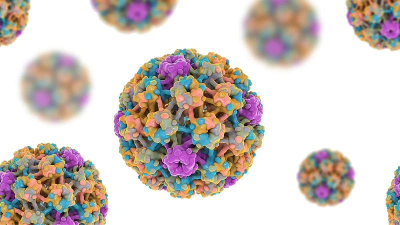 HPV tuýp 6 và 11 đều thuộc nhóm nguy cơ thấp, hiếm khi gây ung thư