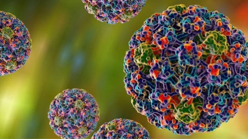 hpv-type-58-nguy-hiem-ra-sao-lam-the-nao-de-phong-ngua-hieu-qua (1).png