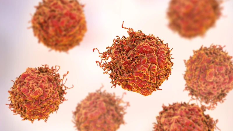 HPV type 68 là một chủng virus thuộc nhóm nguy cơ cao