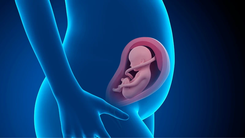 Canxi giúp thai nhi phát triển toàn diện