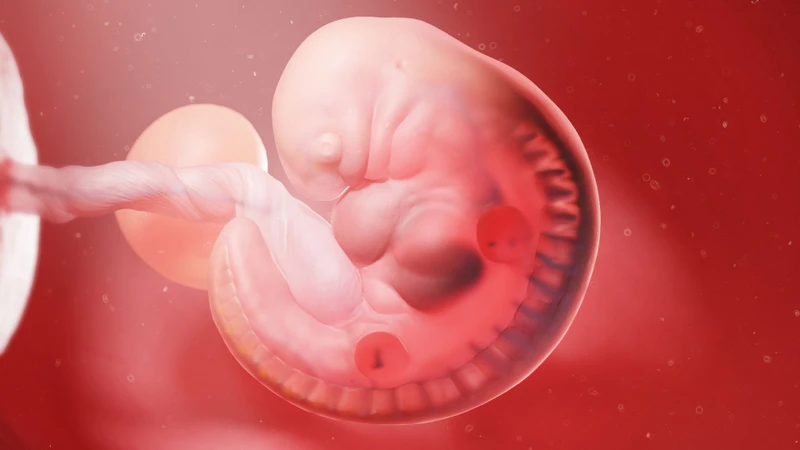 Hướng dẫn cách đi vệ sinh sau chuyển phôi đúng cách và an toàn 1