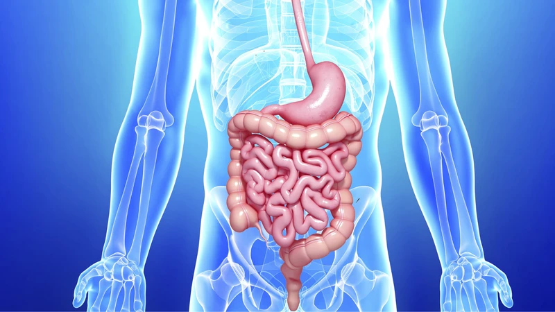 Các phương pháp điều trị tắc ruột và lưu ý trong chăm sóc người bệnh 4