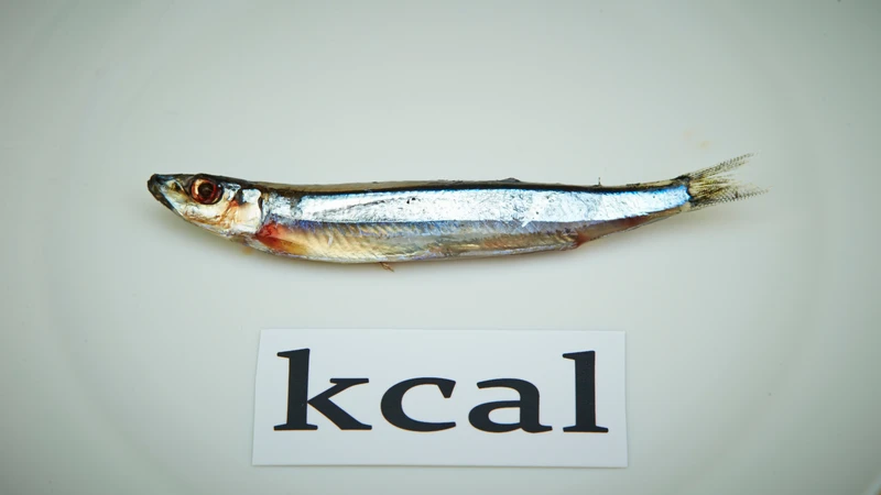 Tìm hiểu kcal là gì để đọc nhãn dinh dưỡng chính xác hơn