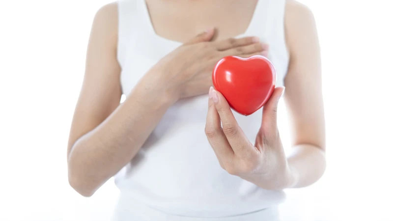 Cải xoăn giúp hỗ trợ tim mạch nhờ giảm cholesterol xấu và cải thiện lưu thông máu