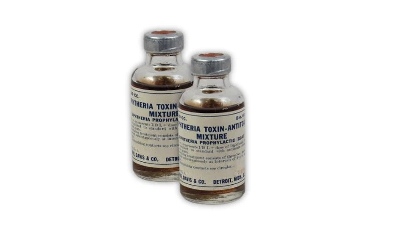 Kháng độc tố bạch hầu giúp trung hòa độc tố do vi khuẩn bạch hầu tiết ra trong cơ thể