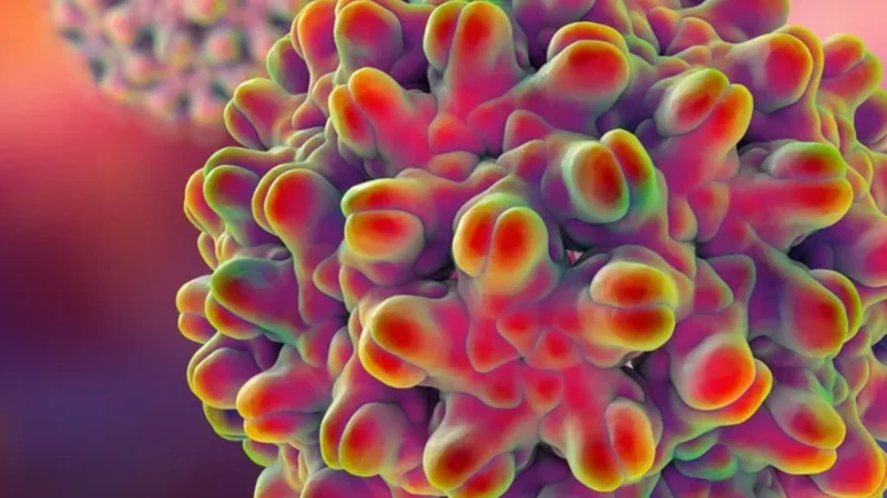 Kháng thể viêm gan B (Anti-HBs) giúp bảo vệ cơ thể trước nguy cơ nhiễm virus viêm gan B