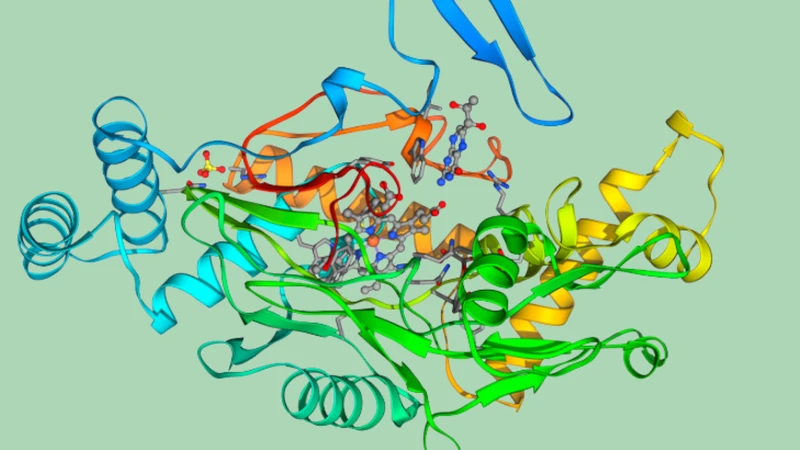 Khí NO được hình thành trong cơ thể thông qua enzyme nitric oxide synthase và nitrate