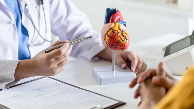 Khiếm khuyết vách ngăn nhĩ thất là dị tật tim bẩm sinh ảnh hưởng cấu trúc tim