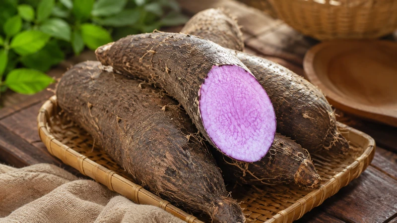 Khoai mỡ chứa tinh bột, chất xơ, kali, vitamin C và ít chất béo