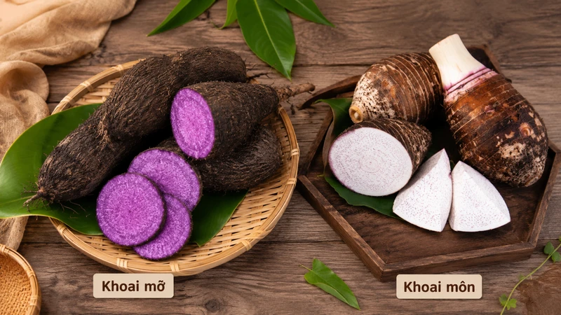 Dinh dưỡng của khoai mỡ và khoai môn chủ yếu đến từ tinh bột và chất xơ