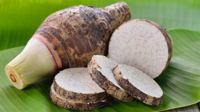 Khoai môn có thể đưa vào chế độ ăn giảm cân hợp lý