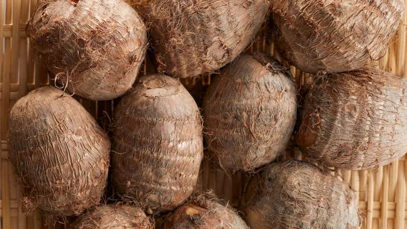Người có hệ tiêu hóa yếu nên ăn vừa phải, tăng dần lượng để cơ thể thích nghi tốt hơn