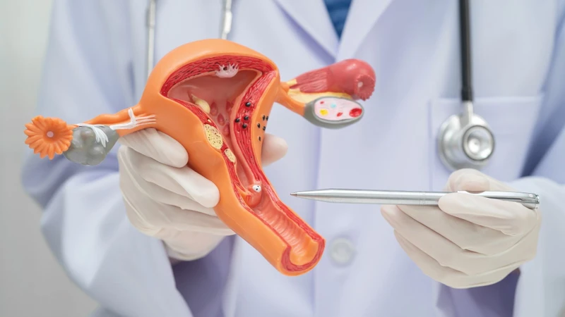 Quy trình khoét chóp cổ tử cung gồm chuẩn bị, cắt bỏ mô bất thường và cầm máu