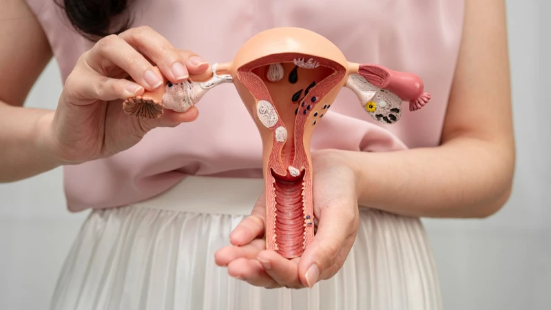 Chăm sóc đúng cách và tái khám theo lịch hẹn giúp theo dõi quá trình hồi phục sau khoét chóp