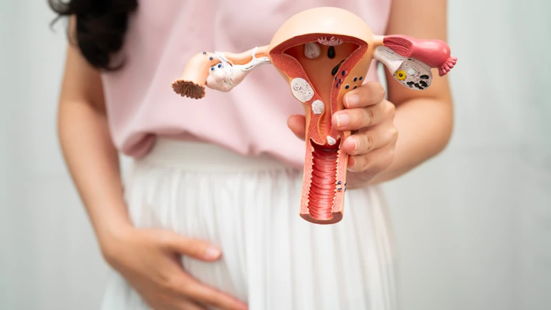 Ở một số người, phôi thai bám vào niêm mạc tử cung một cách nhẹ nhàng, không gây tổn thương hay bong tróc mạch máu