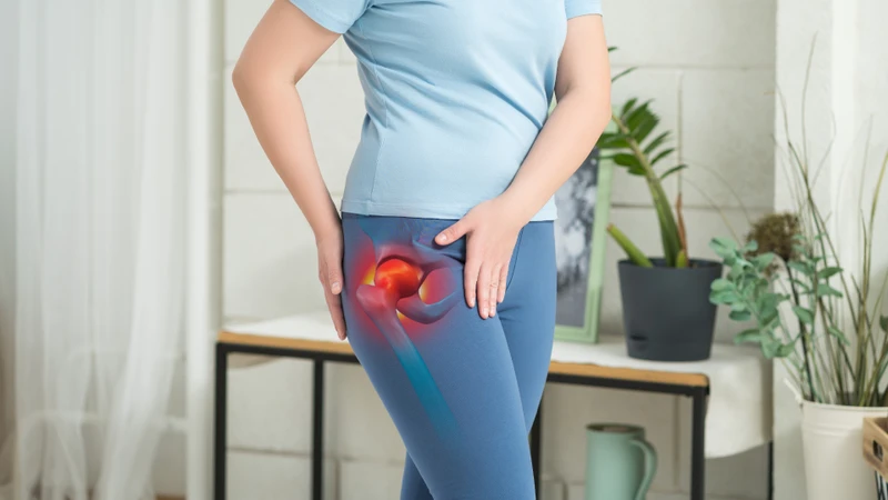 Khớp háng là một khớp chỏm điển hình, cho phép thực hiện đa dạng các động tác trong không gian ba chiều với biên độ đáng kể
