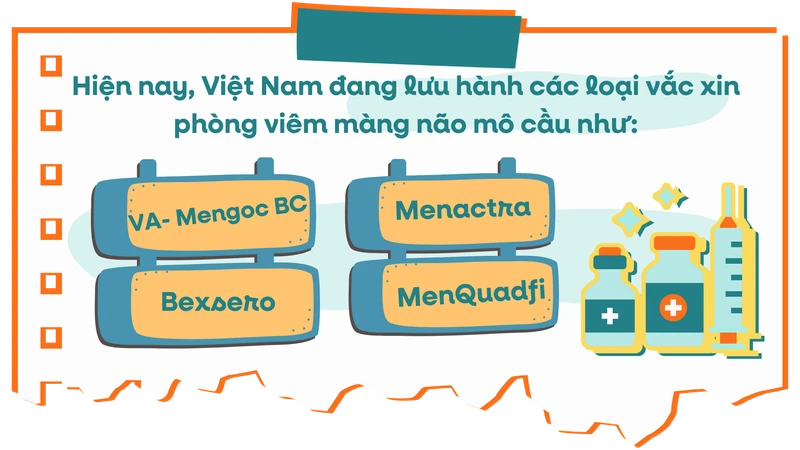 Lá chắn vắc xin - Vì sao không thể chần chừ với viêm não mô cầu? 1