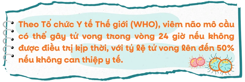 Lá chắn vắc xin - Vì sao không thể chần chừ với viêm não mô cầu? text 1