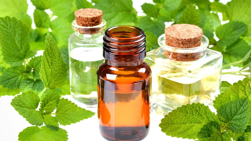 Tinh dầu húng chanh hỗ trợ giảm cảm giác căng thẳng, lo âu, bồn chồn