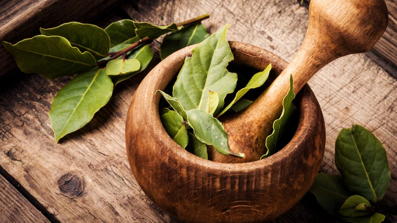 Lá nguyệt quế giúp tạo hương thơm tự nhiên cho món ăn