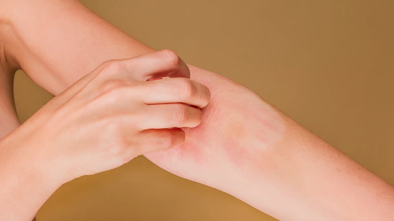 Ngừng sử dụng oregano nếu xuất hiện các dấu hiệu bất thường