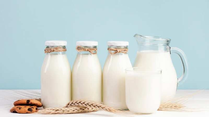 Lactose có trong thực phẩm nào? Sữa và các chế phẩm từ sữa là nguồn cung cấp lactose phổ biến nhất