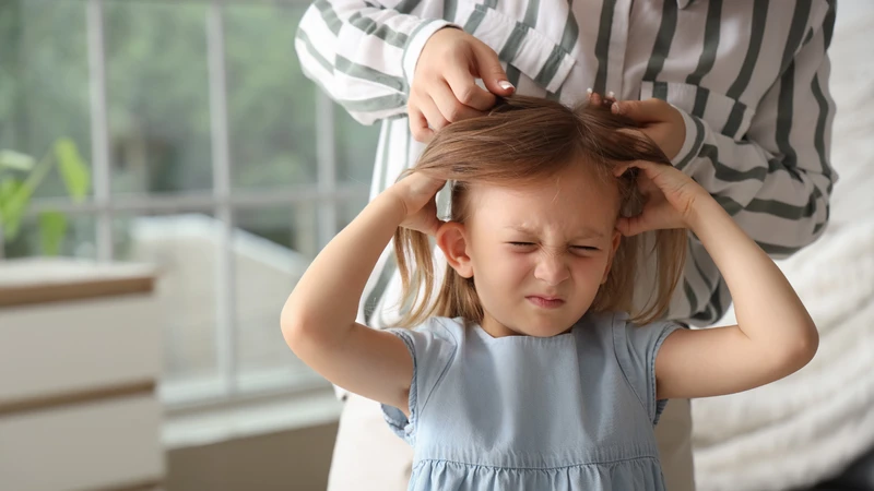 Chấy lây lan chủ yếu qua tiếp xúc trực tiếp đầu - đầu khi trẻ chơi đùa cùng nhau