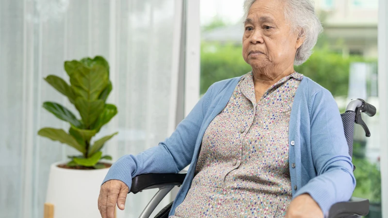 Lao màng não là gì? Những vấn đề cần biết lao về lao màng não 1