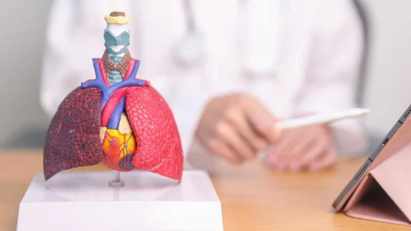 Hình ảnh mô tả sự khác nhau giữa tổn thương ở phổi và vùng màng bao quanh phổi