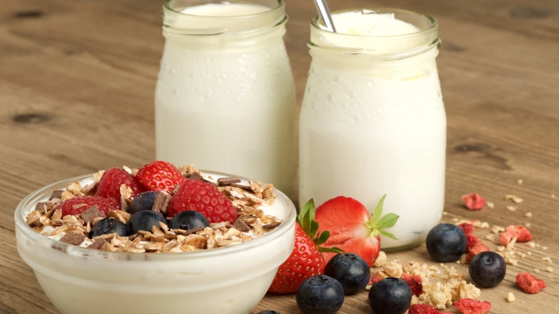Khi hệ tiêu hóa khỏe mạnh, quá trình chuyển hóa lipid tại gan cũng diễn ra thuận lợi hơn, hỗ trợ kiểm soát LDL hiệu quả