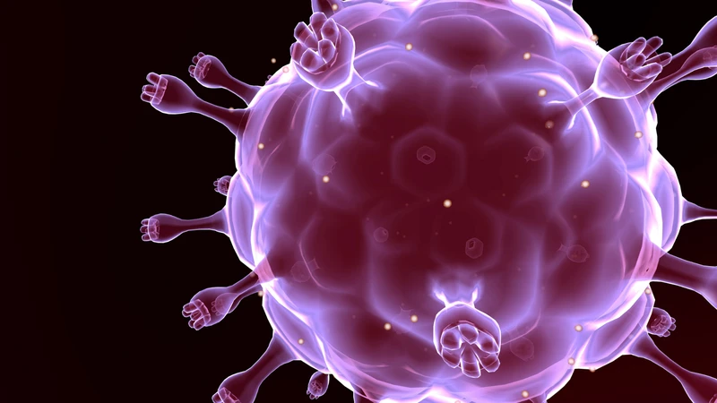 Lentivirus có vật liệu di truyền là RNA sợi đơn và có bộ gen phức tạp