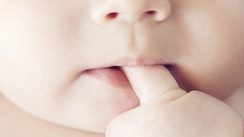 Lịch EASY 4 là gì? Cần lưu ý gì khi áp dụng EASY 4?2