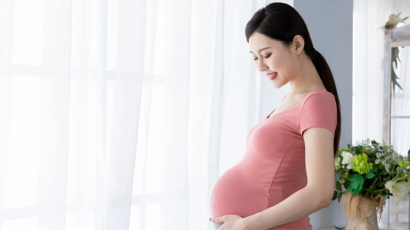 Lịch khám thai định kỳ: Những điều mẹ bầu cần biết và tuân thủ 3