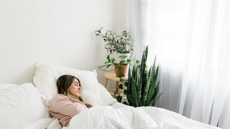 Liệt dây thần kinh số 7: Hiểu đúng để chữa trị kịp thời 3